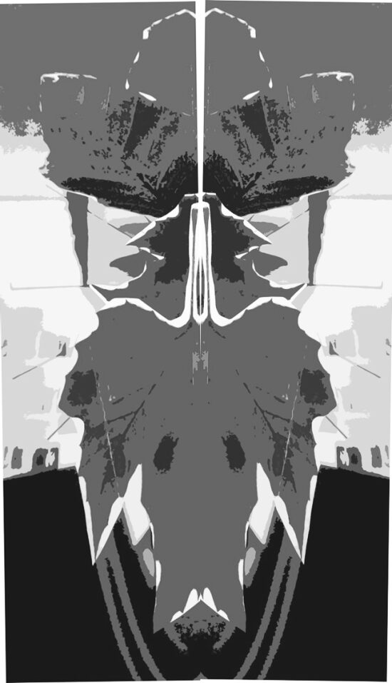 Visual 5